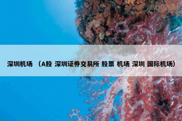  先锋影音怎么理解？先锋影音属于（科学）