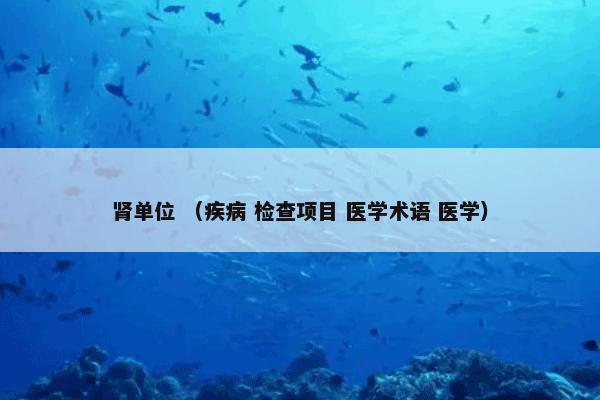  一是多少是什么？一是多少属于（一是多少）