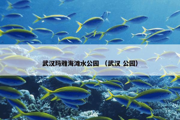  世界大学城空间建设指南怎么理解？世界大学城空间建设指南属于（图书）