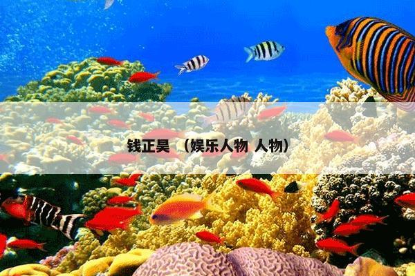  流行歌曲排行榜怎么理解？流行歌曲排行榜属于（艺术书籍和出版物和书籍）