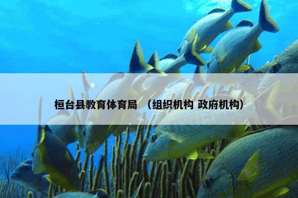 高中生物知识大全 （高中生物知识大全）