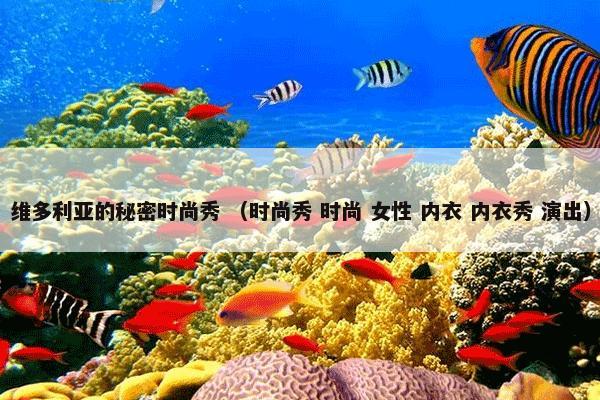 中国特种设备行业协会 （社会）