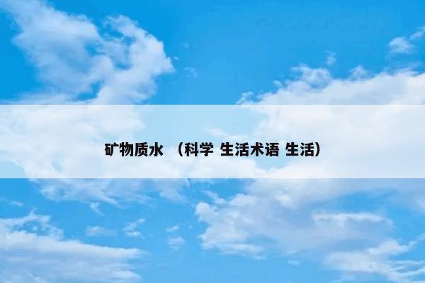  第一届世界互联网大会怎么理解？第一届世界互联网大会属于（互联网和社会活动）