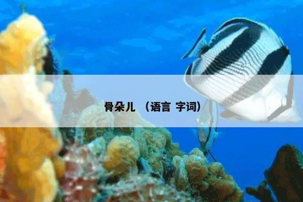 个人缴费基数 （经济）