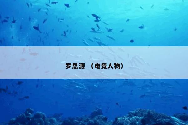  数码摄影曝光是什么？数码摄影曝光属于（图书）